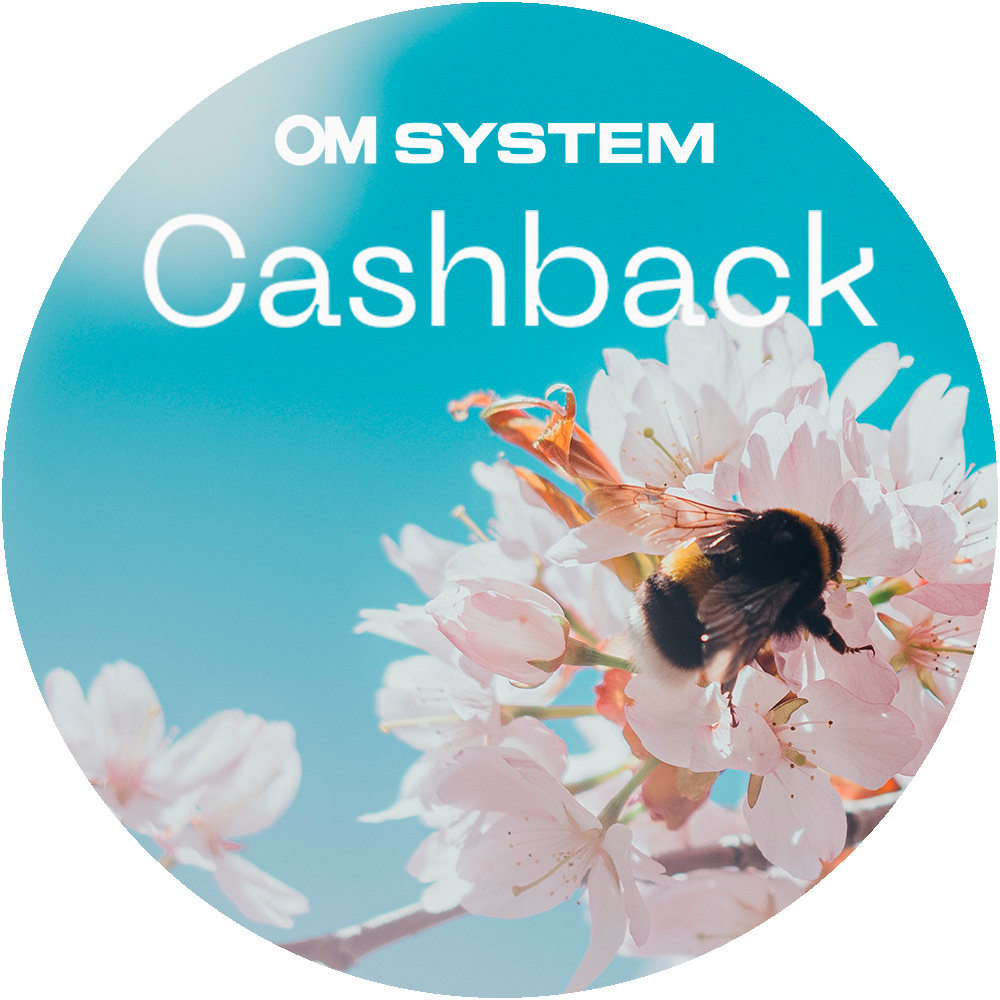 OM SYSTEM M.Zuiko 60mm f/2.8 ED Macro -objektiivi