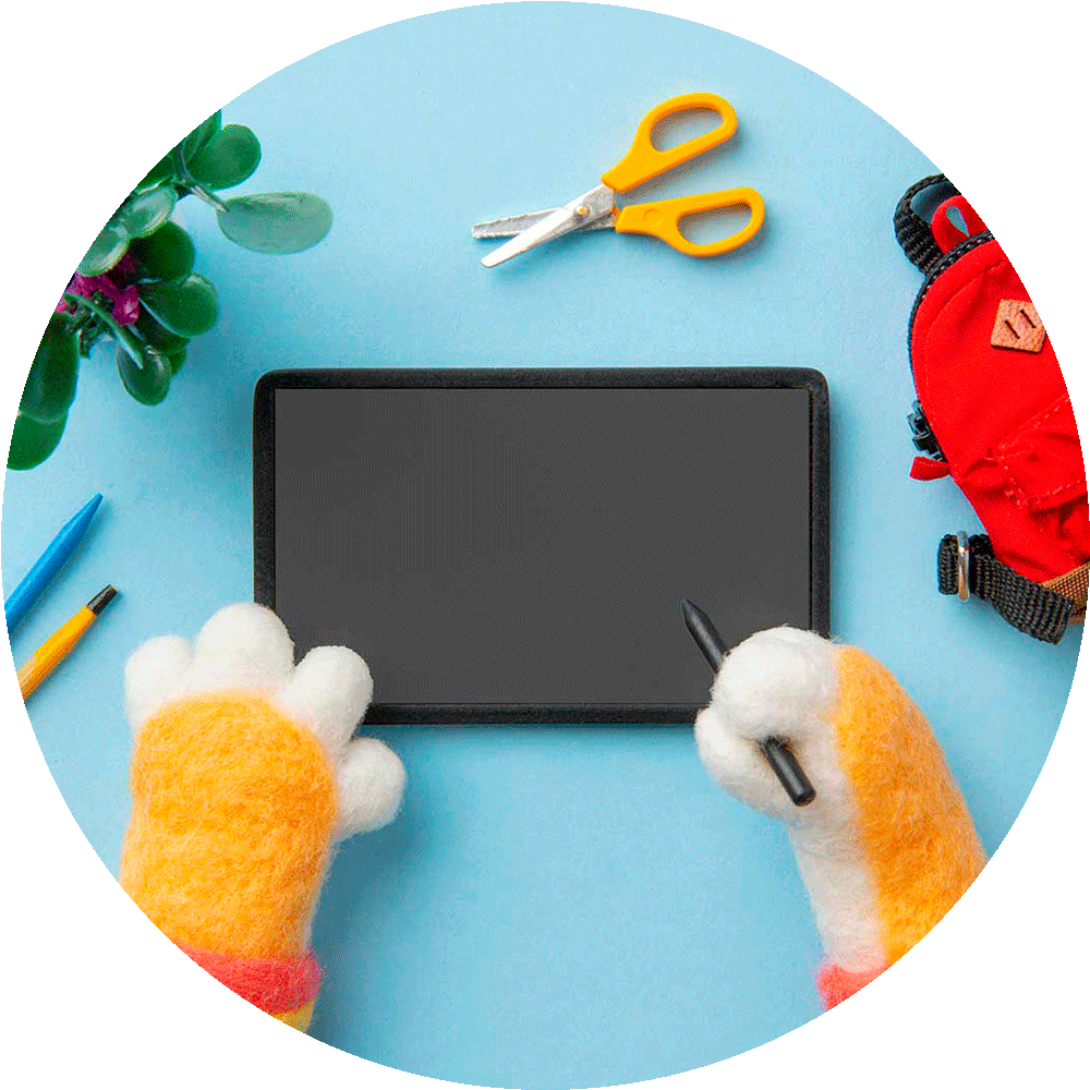 Wacom Intuos Pro Medium -piirtopöytä (2025)
