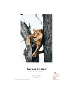 Hahnemuehle German Etching Paperi 310gsm A3 / 25